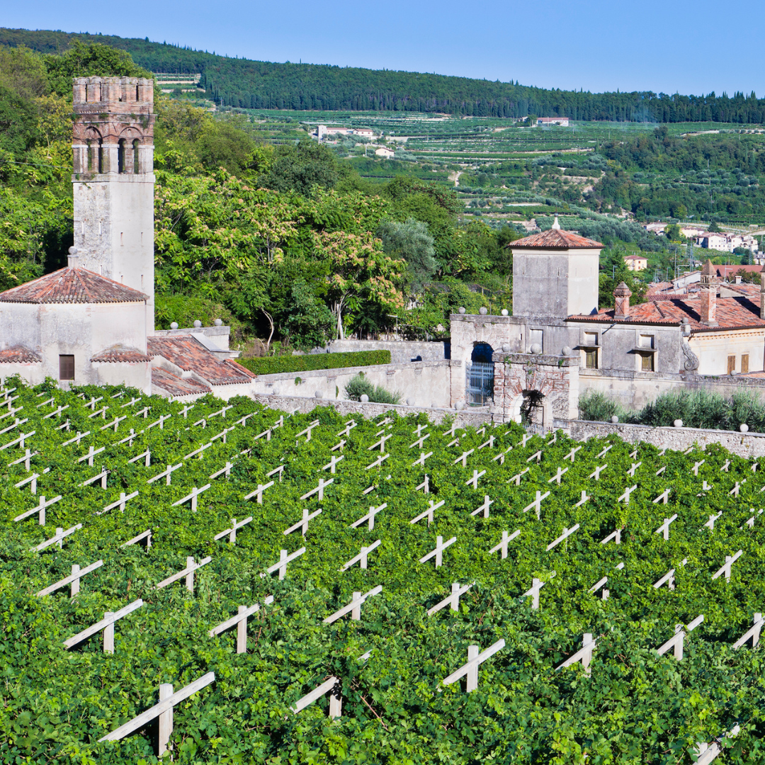 COSA VEDERE VALPOLICELLA