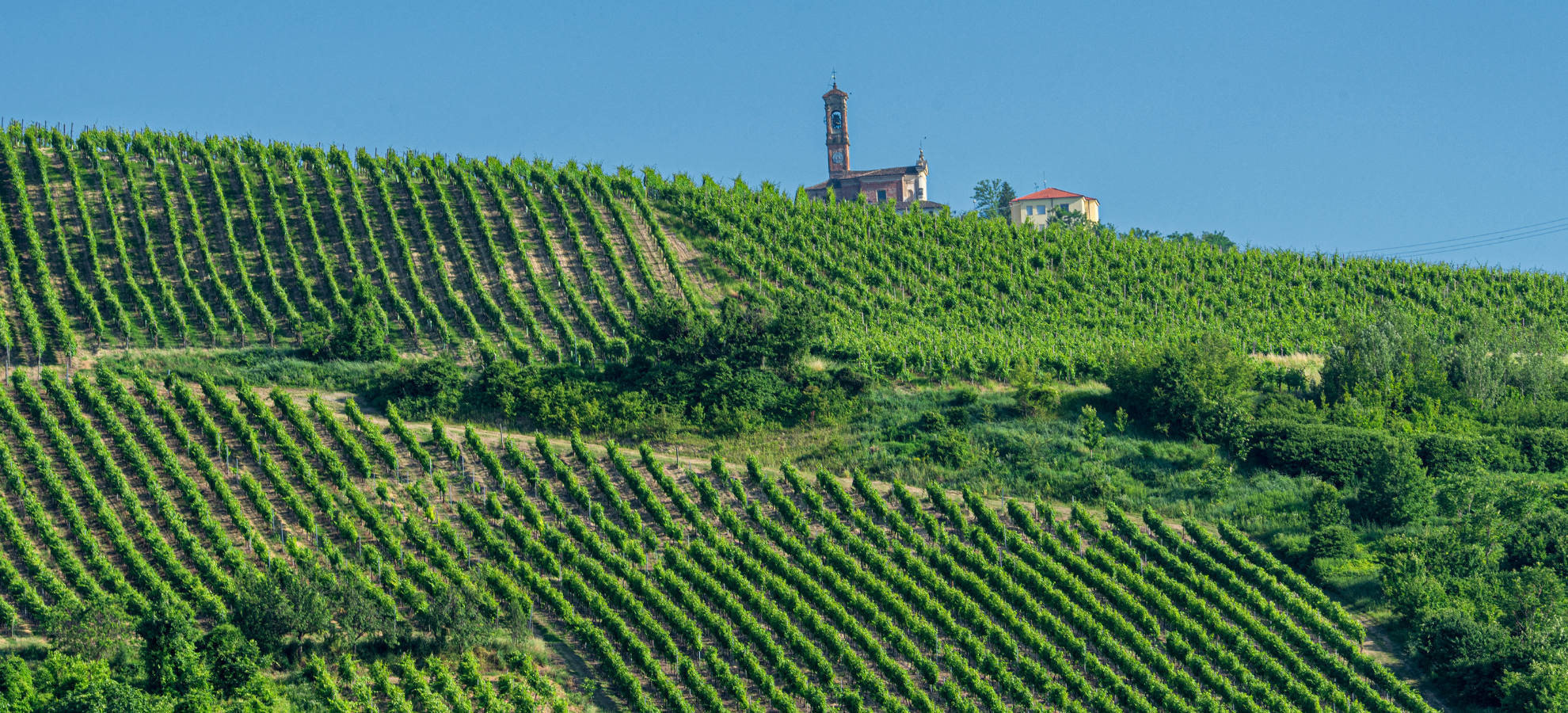 VALPOLICELLA