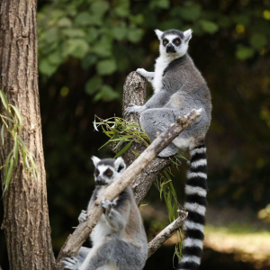 PARCO NATURA VIVA - ESPERIENZE PERFETTE PER UNA DOMENICA A VERONA