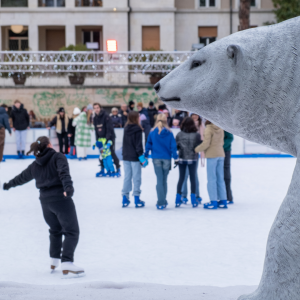 Winter area: piste di ghiaccio - Attività da fare ai mercatini di Natale a Verona