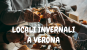 LOCALI INVERNALI A VERONA