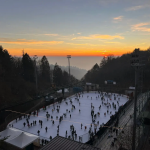 Palaghiaccio Bosco Chiesanuova - Dove pattinare a Verona?